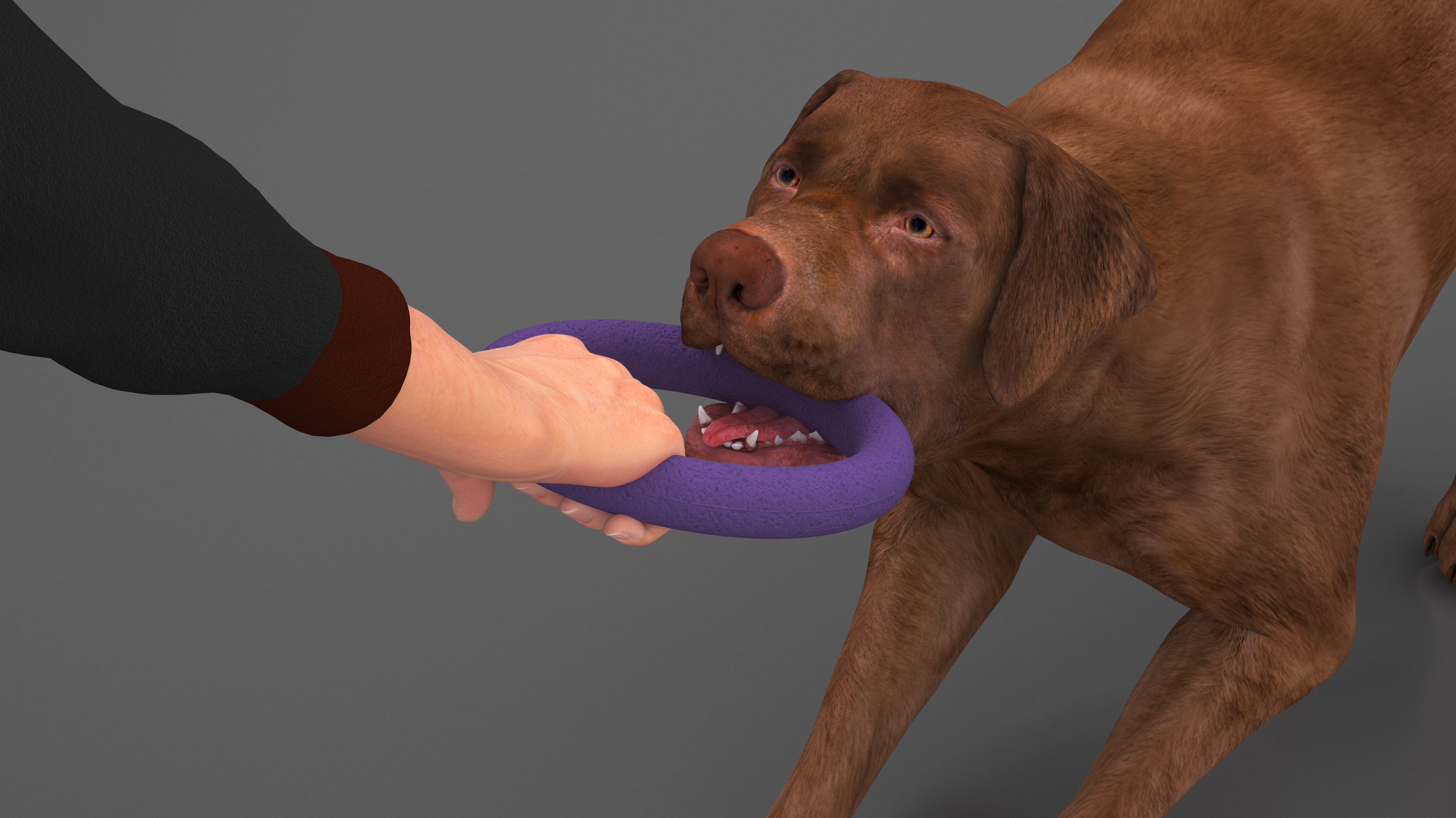 3D model Man Playing with Dog