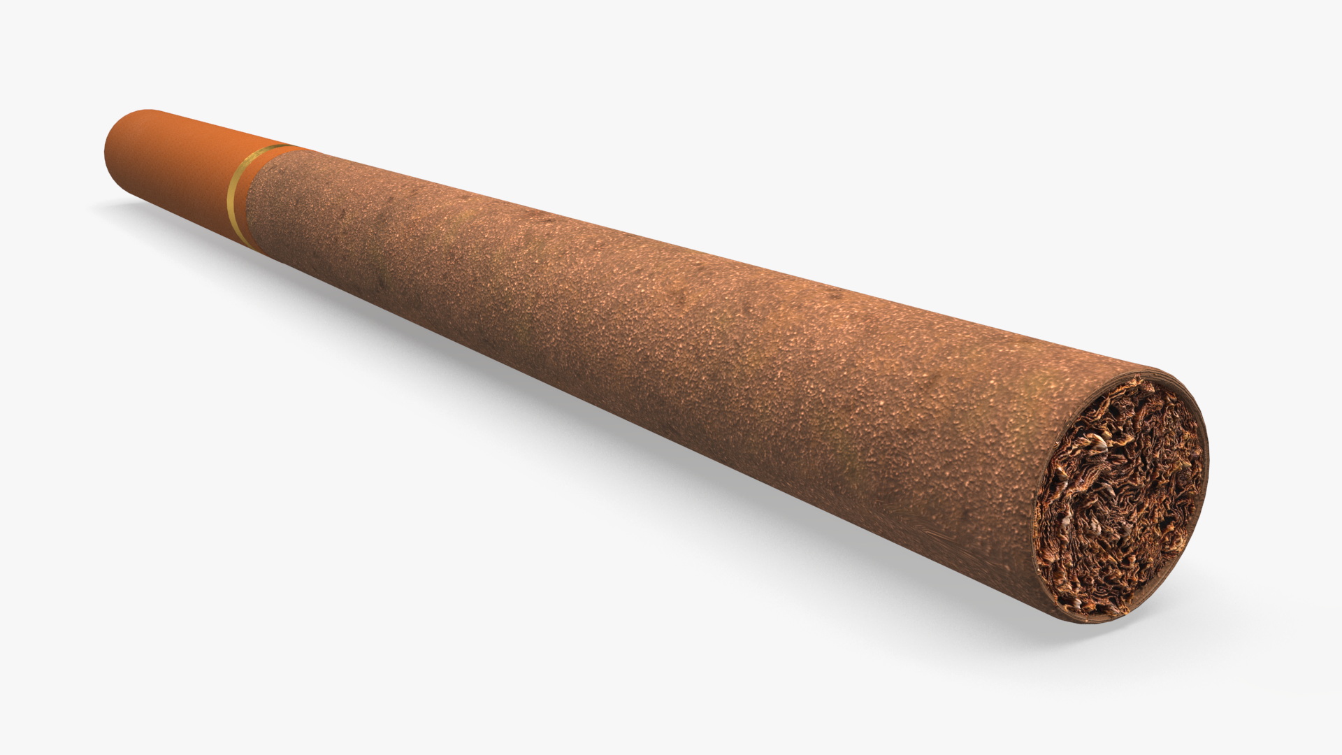 3D model Filtered Small Cigar
