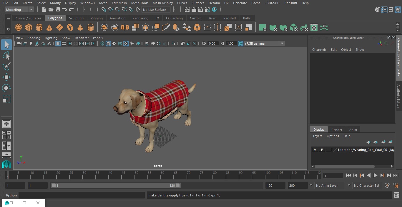 3D model Labrador Wearing Red Coat