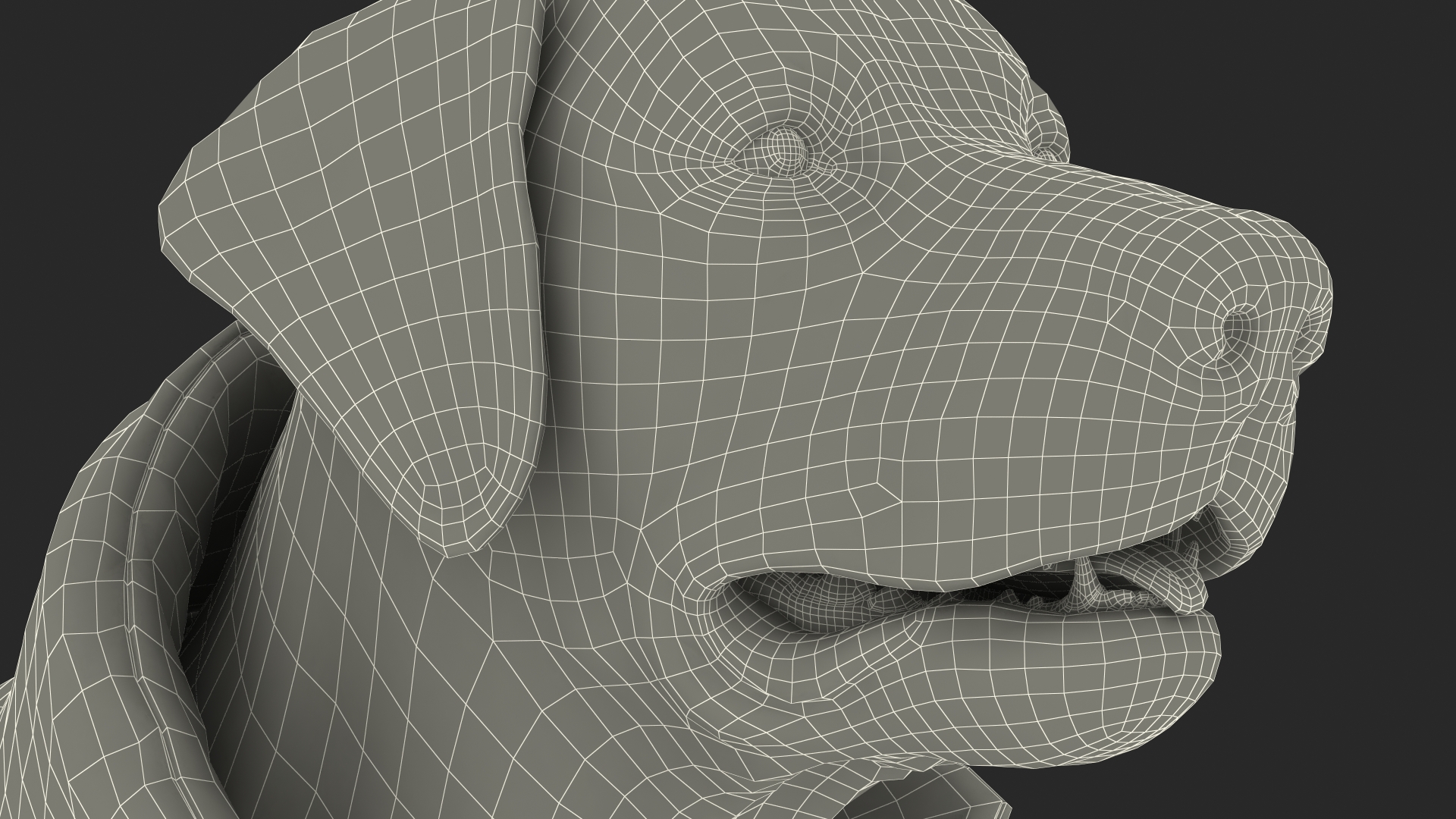 3D model Labrador Wearing Red Coat