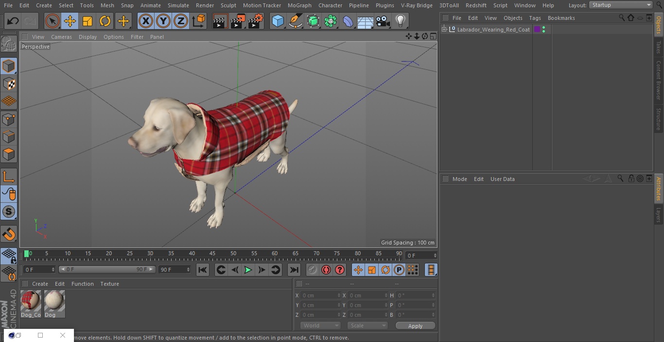 3D model Labrador Wearing Red Coat