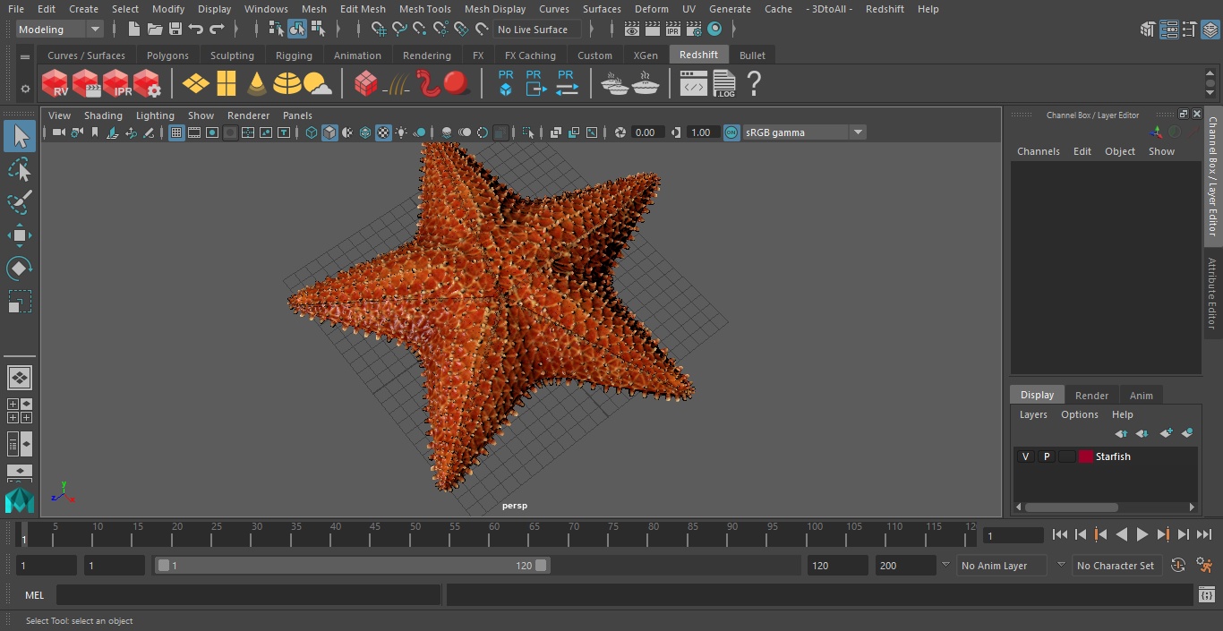 3D model Starfish