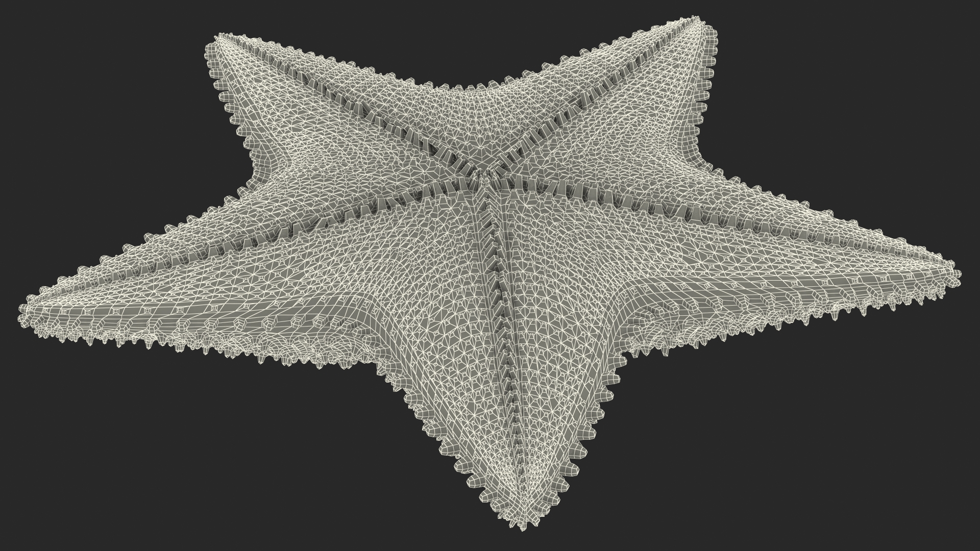 3D model Starfish