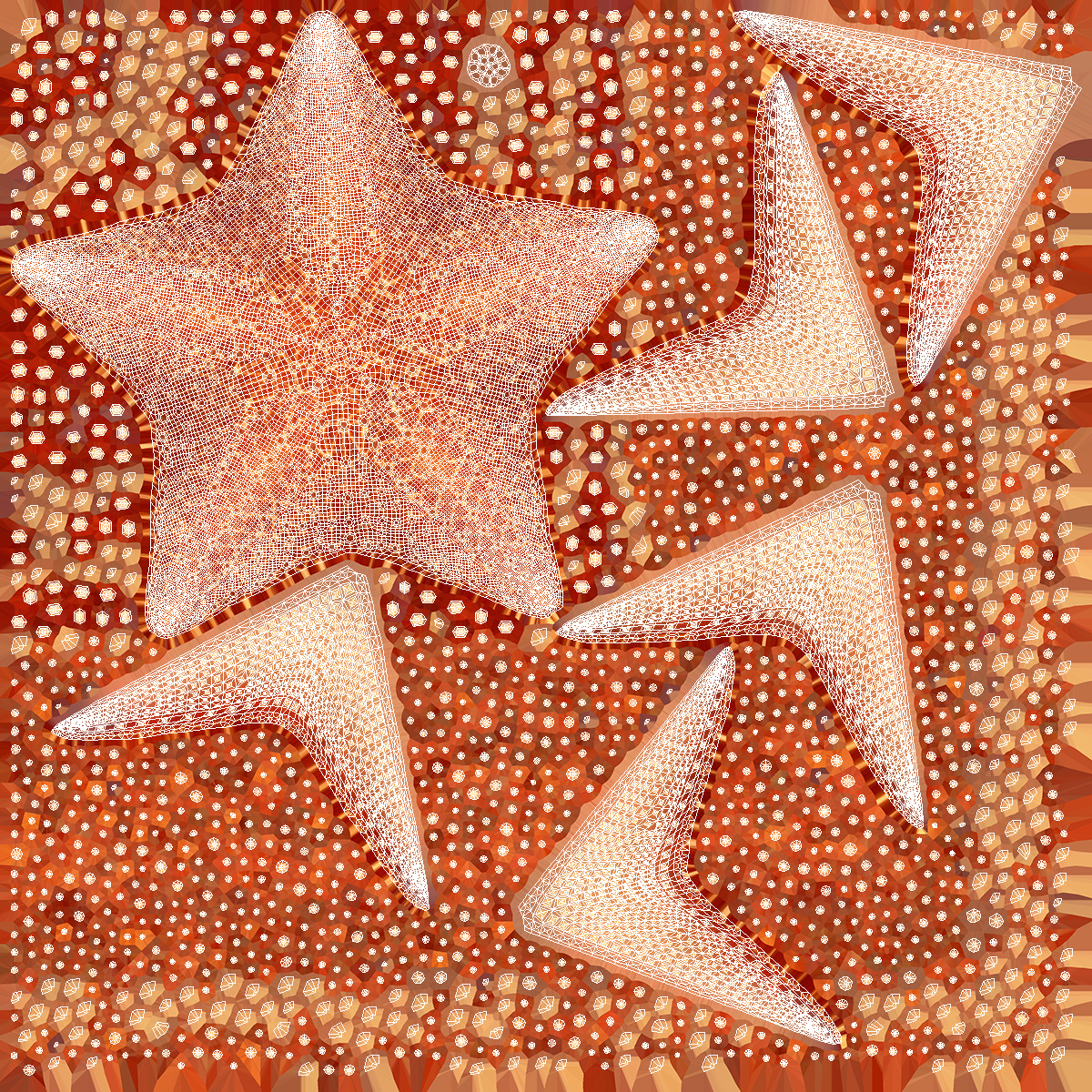 3D model Starfish