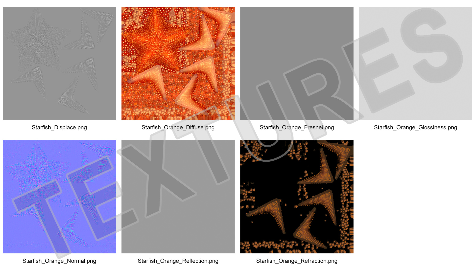 3D model Starfish