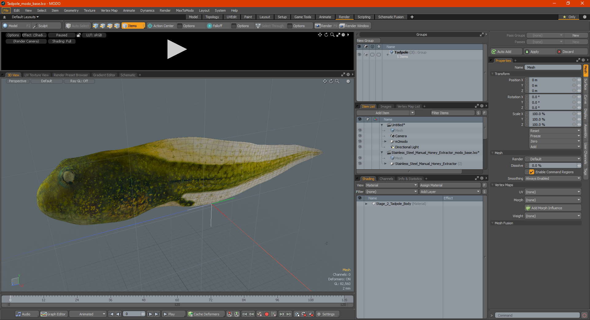 Tadpole 3D model