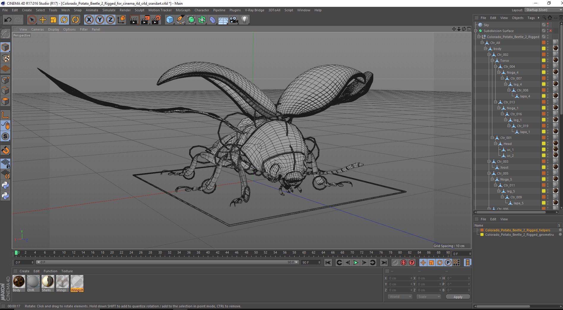 3D model Colorado Potato Beetle 2 Rigged for Cinema 4D