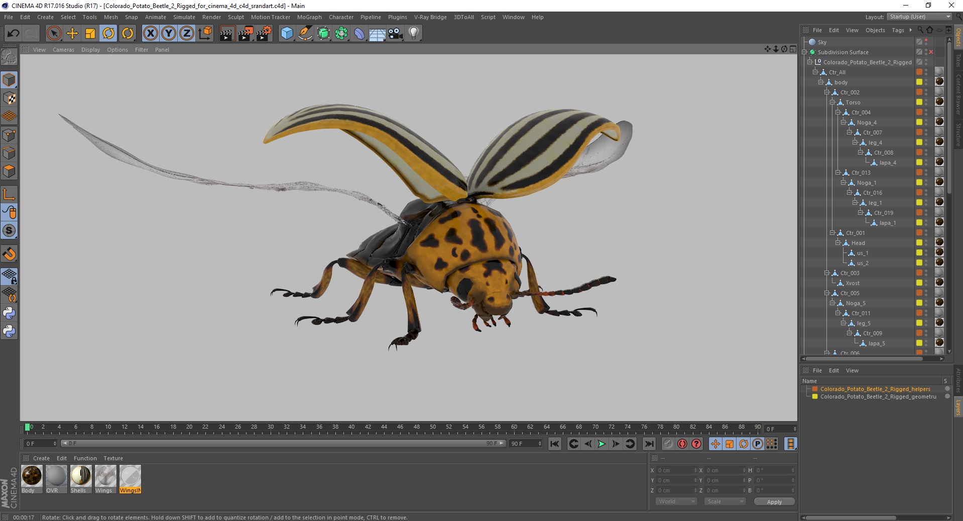 3D model Colorado Potato Beetle 2 Rigged for Cinema 4D