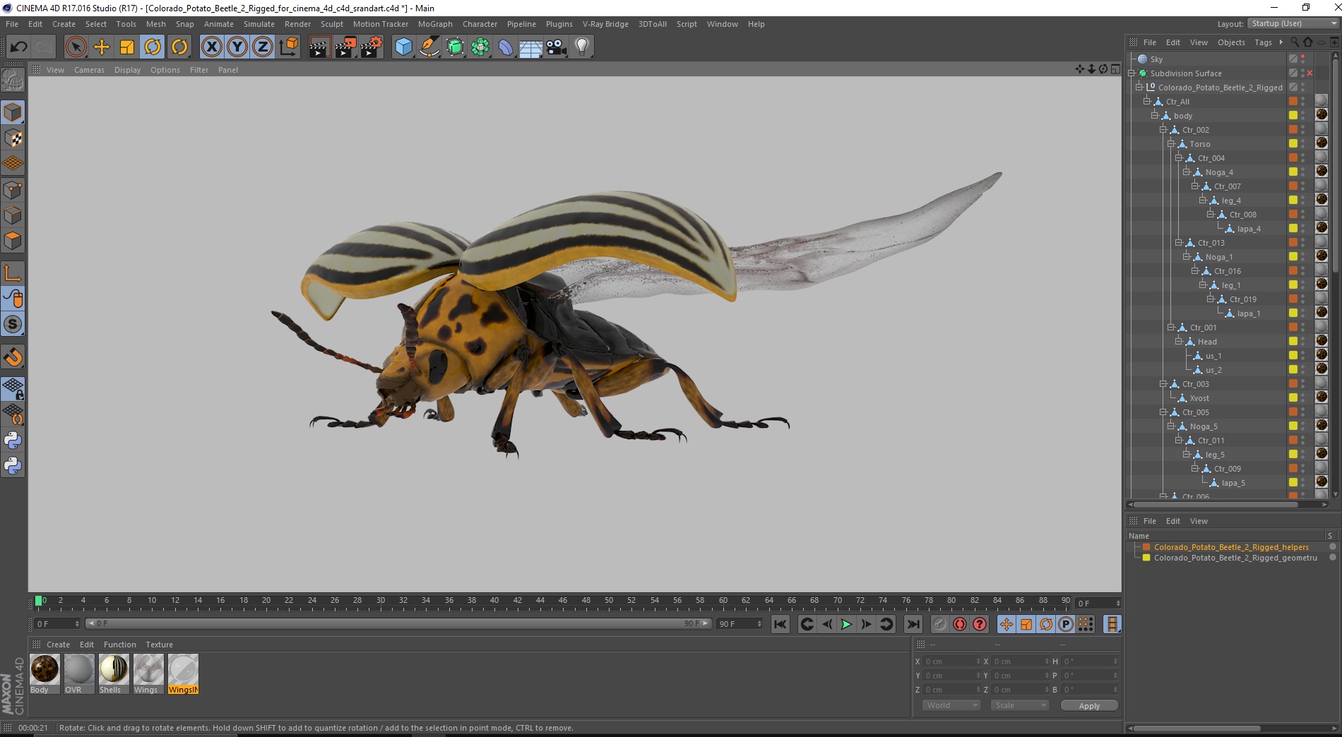 3D model Colorado Potato Beetle 2 Rigged for Cinema 4D
