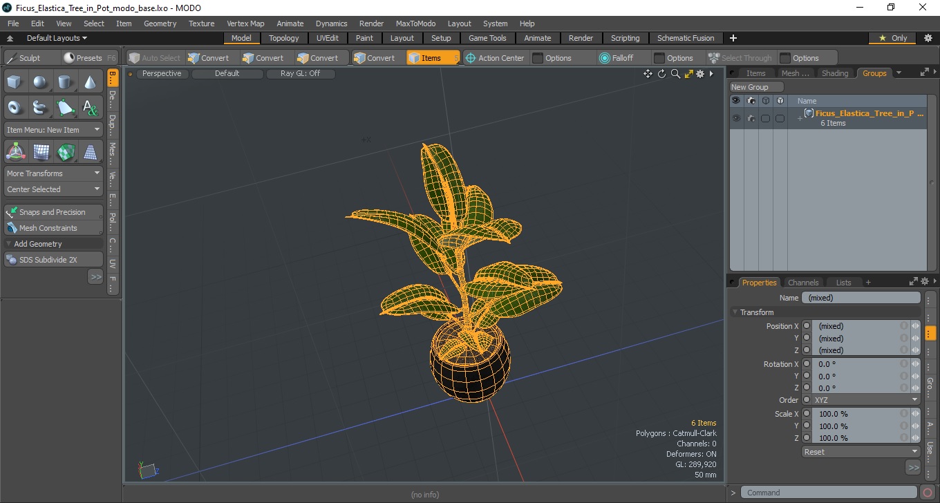 3D Ficus Elastica Tree in Pot