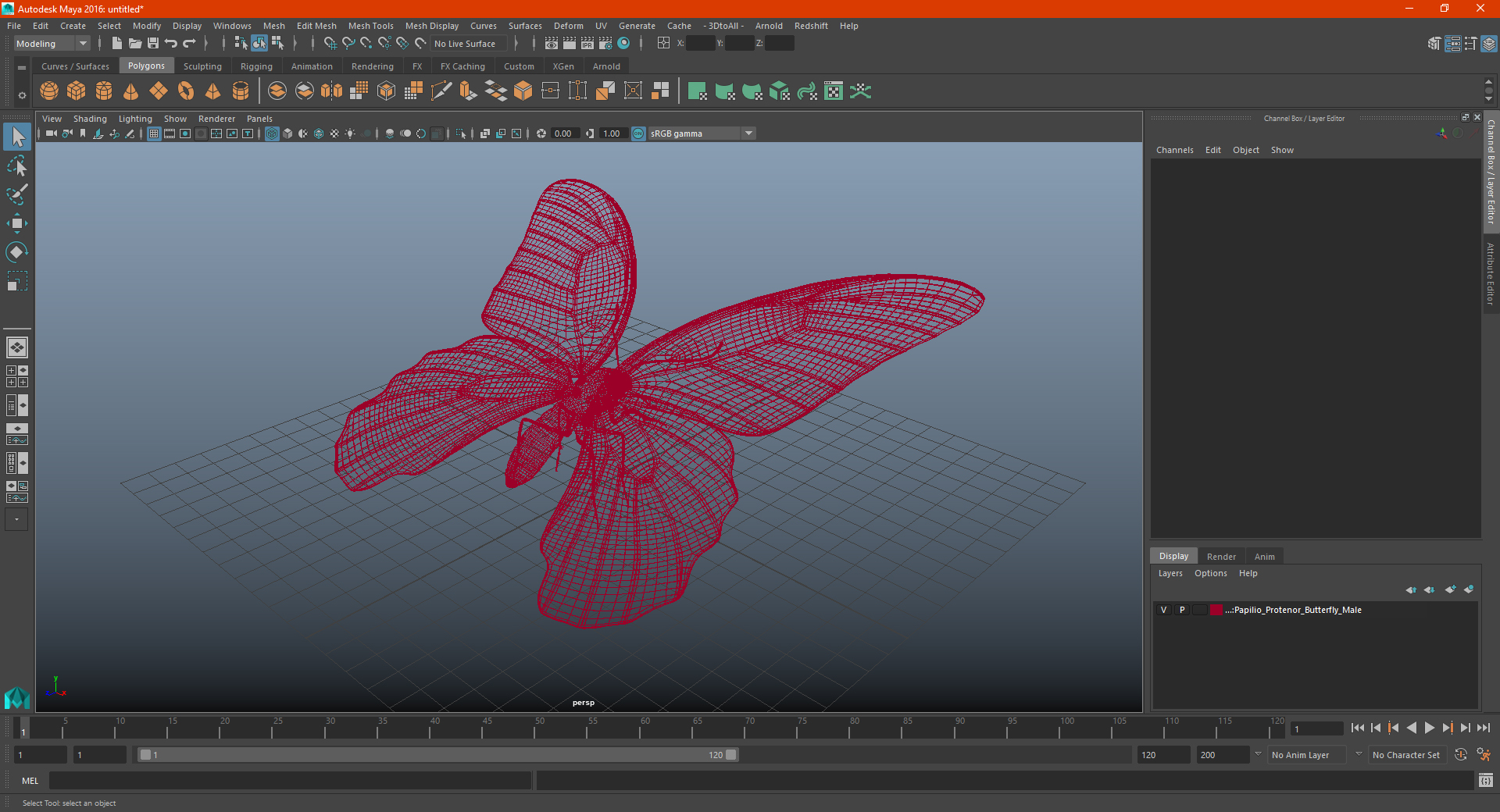 3D Papilio Protenor Butterfly Male