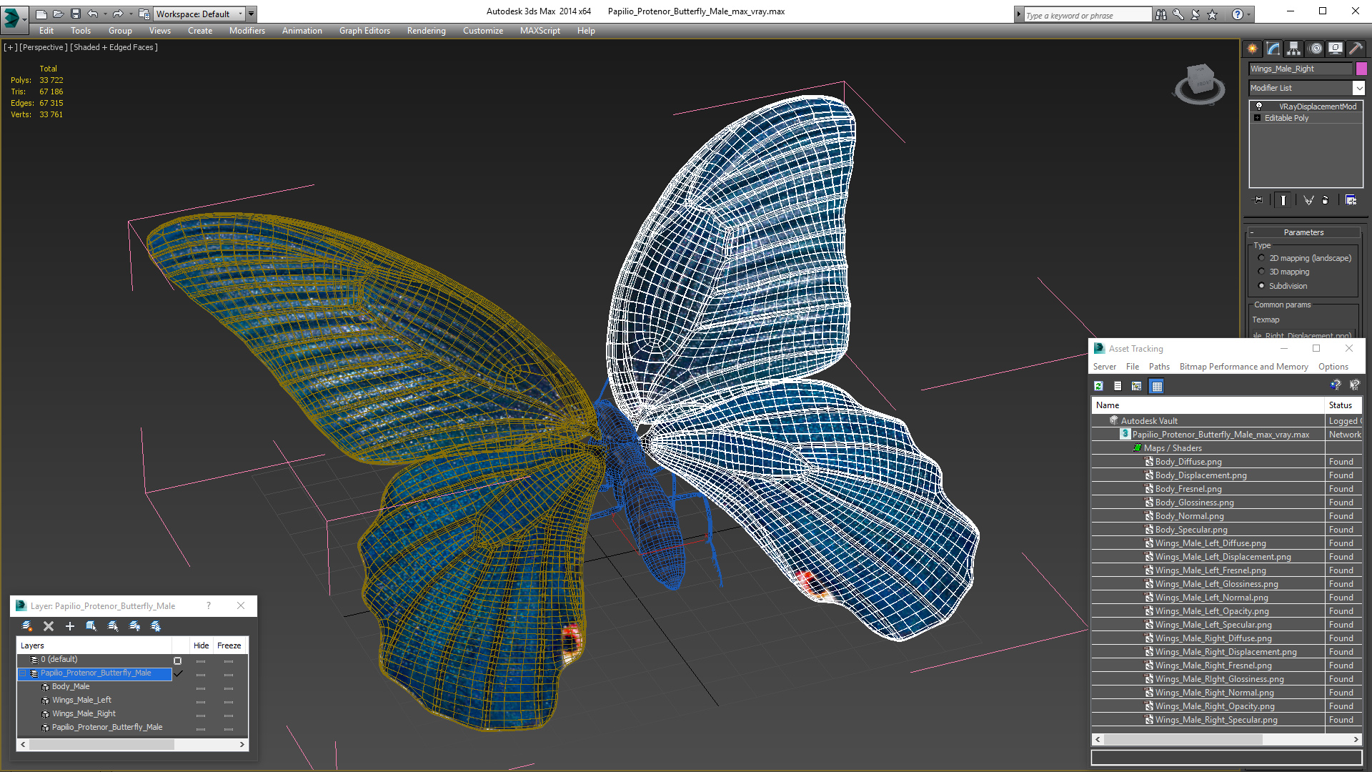 3D Papilio Protenor Butterfly Male