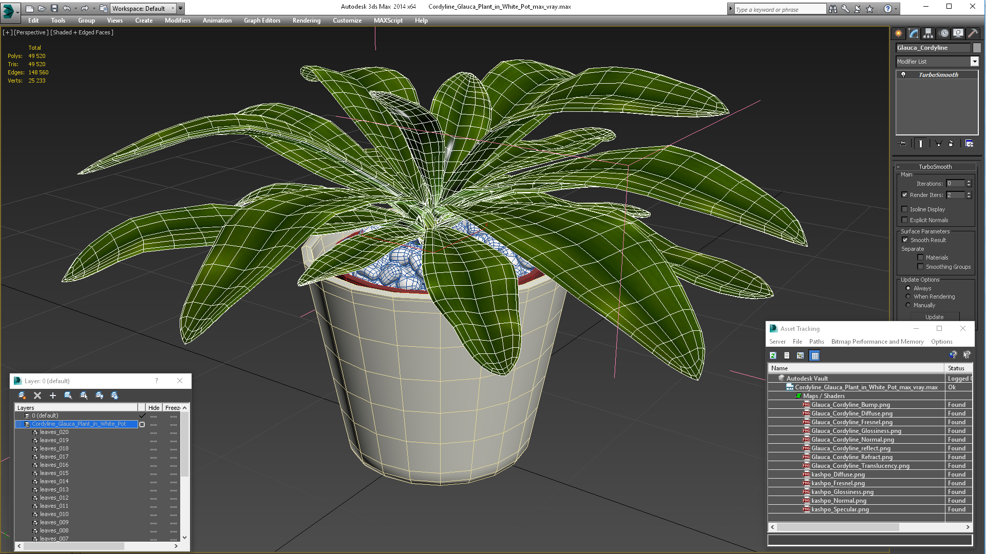 3D model Cordyline Glauca Plant in White Pot