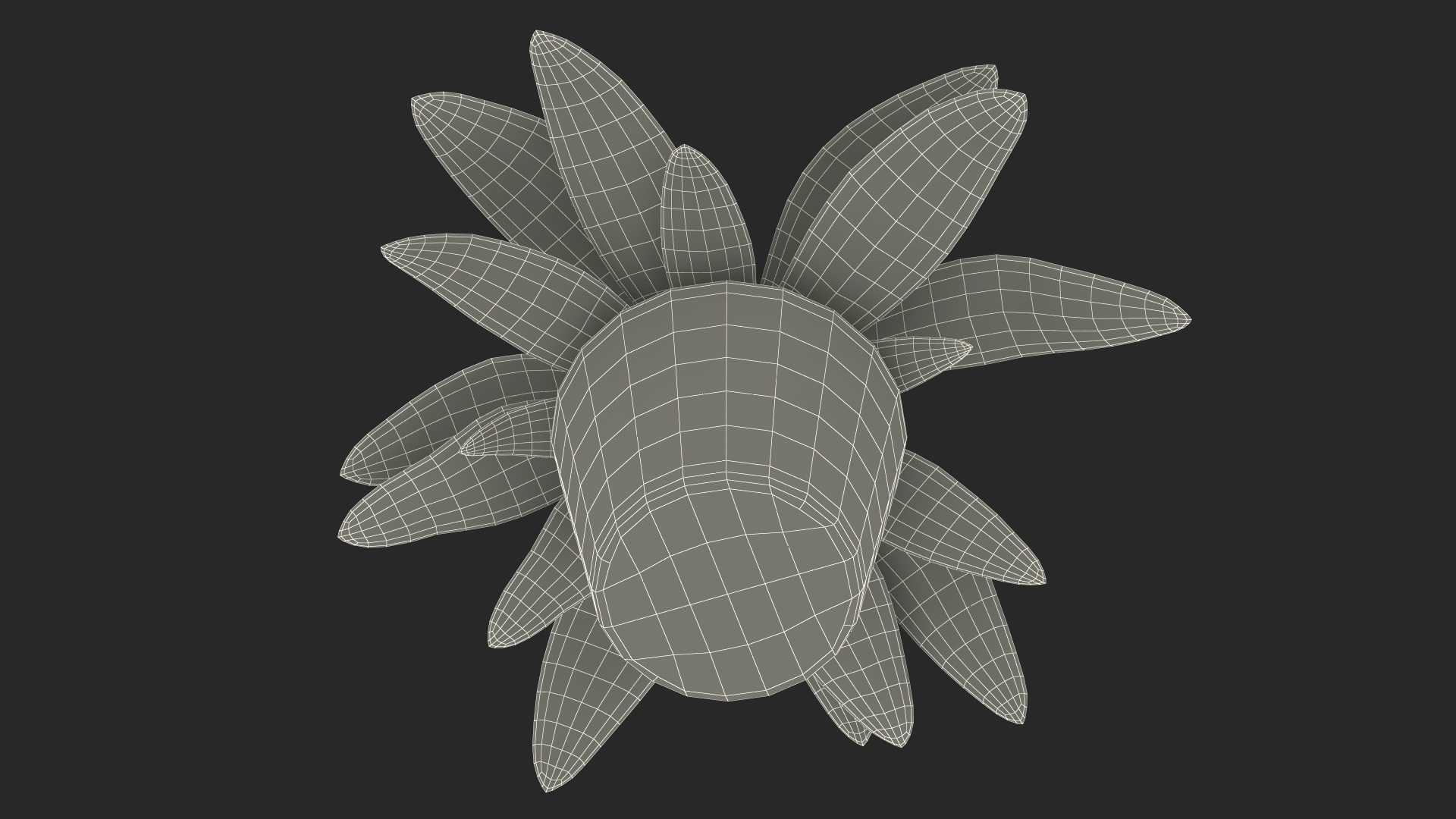 3D model Cordyline Glauca Plant in White Pot