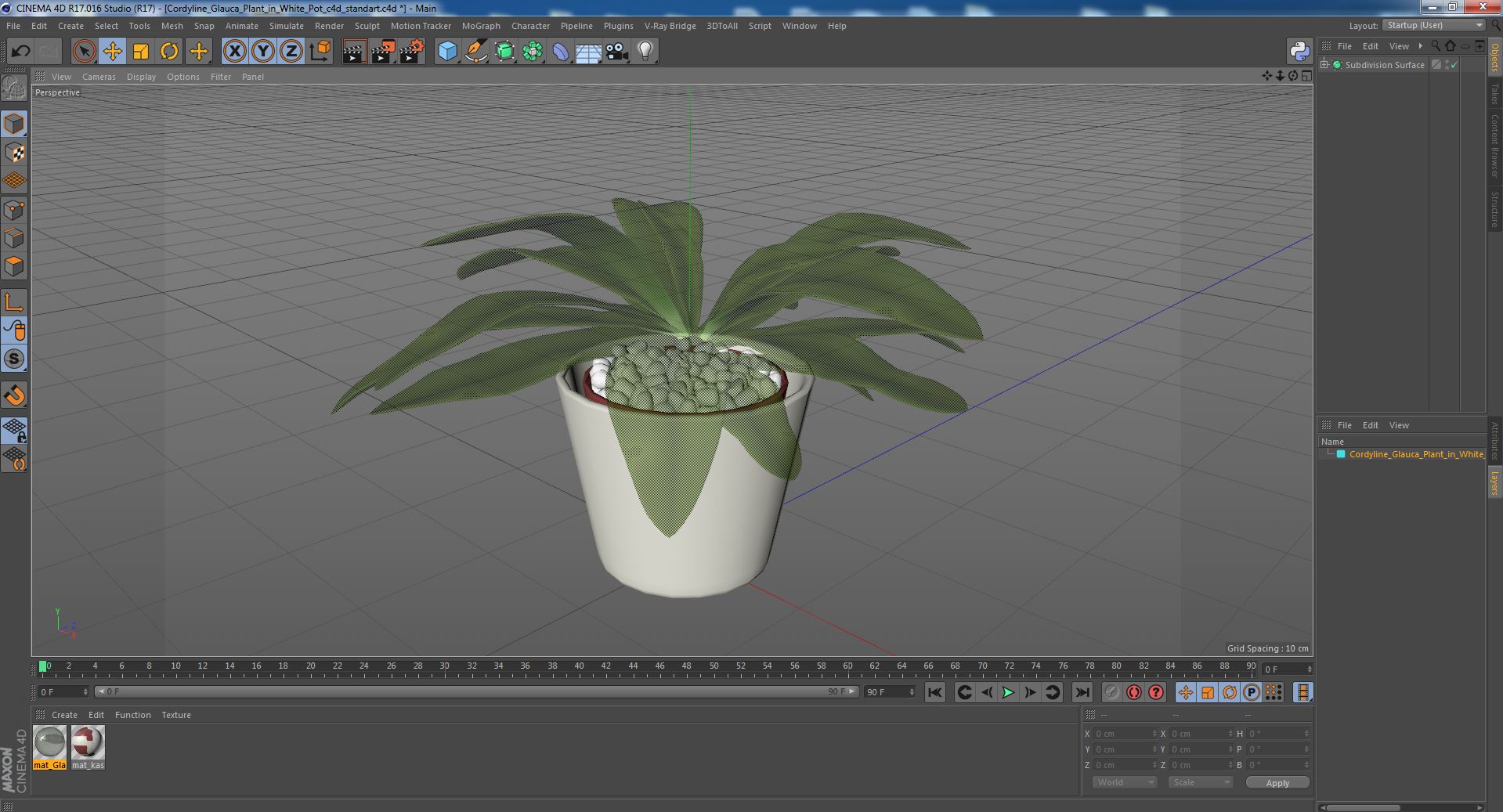 3D model Cordyline Glauca Plant in White Pot