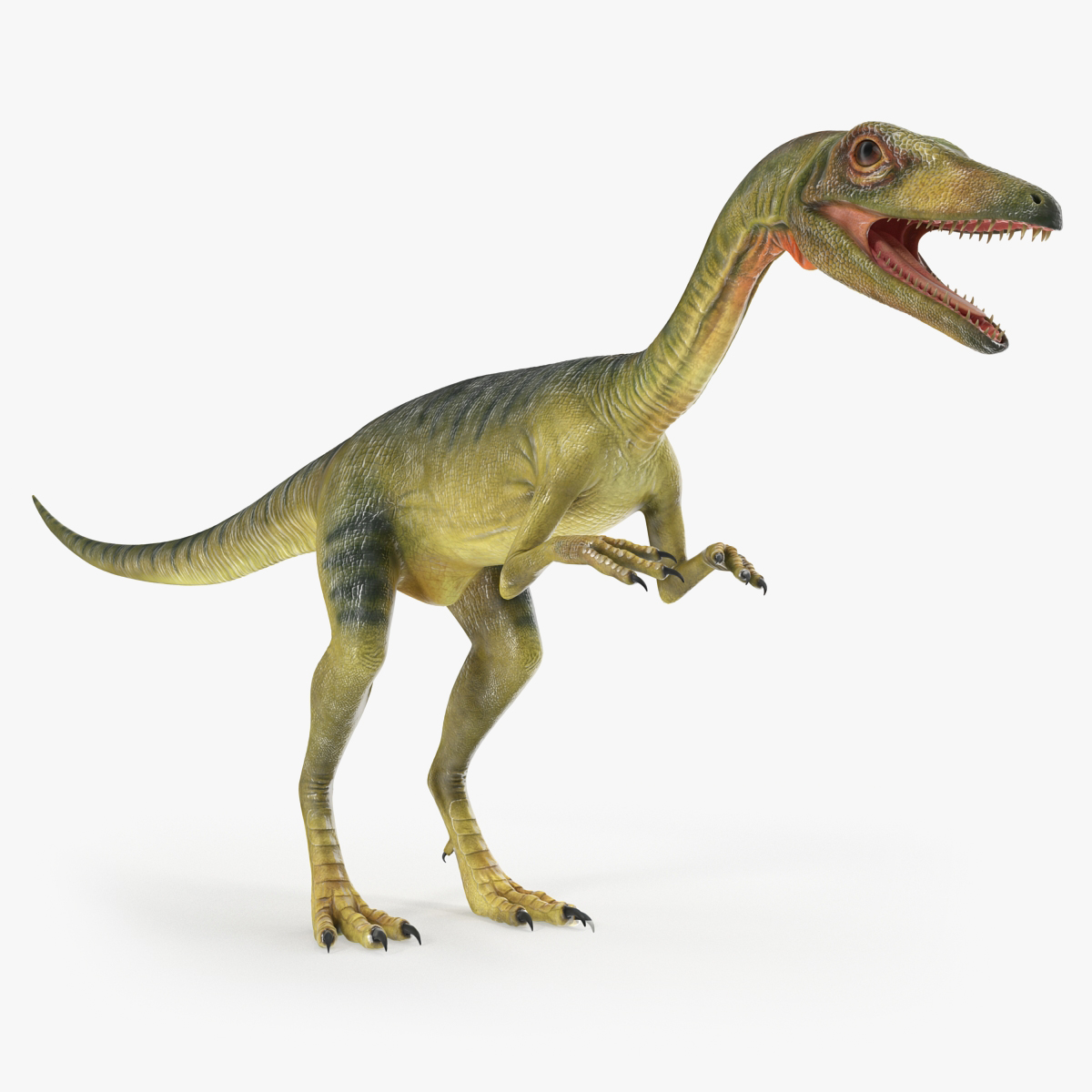Compsognathus Dinosaur Rigged, view 4