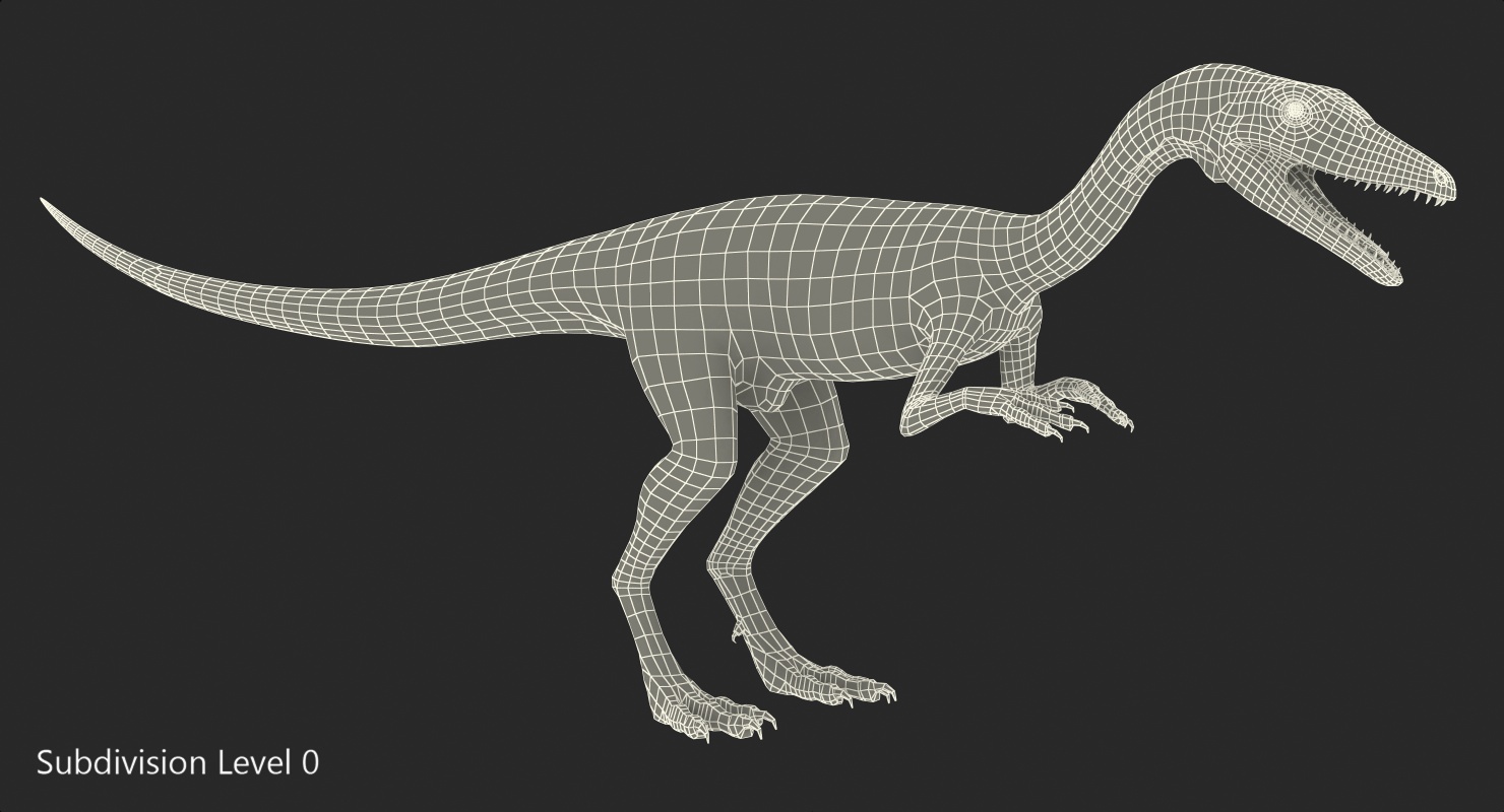 Compsognathus Dinosaur Rigged 3D model