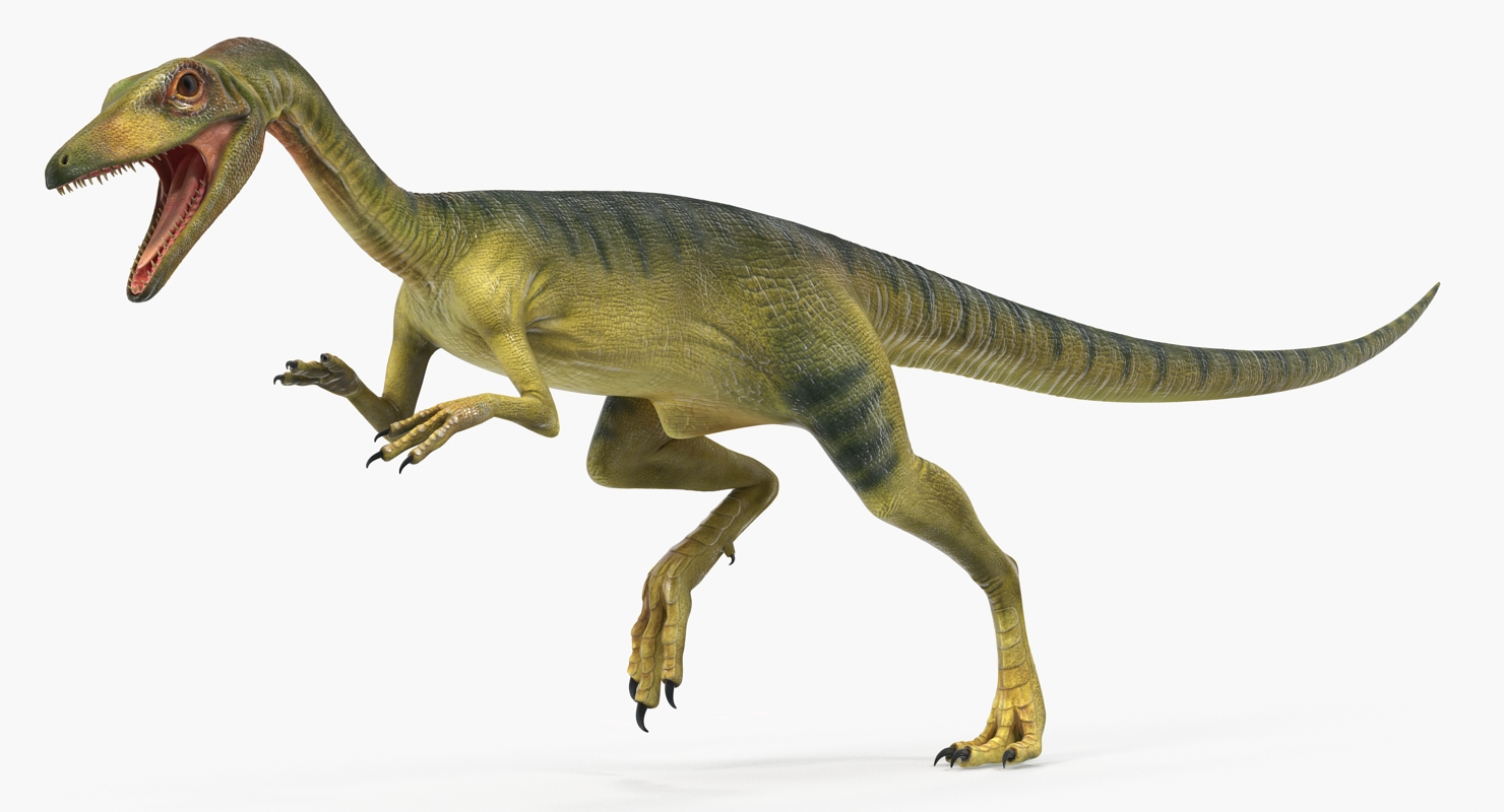 Compsognathus Dinosaur Rigged 3D model