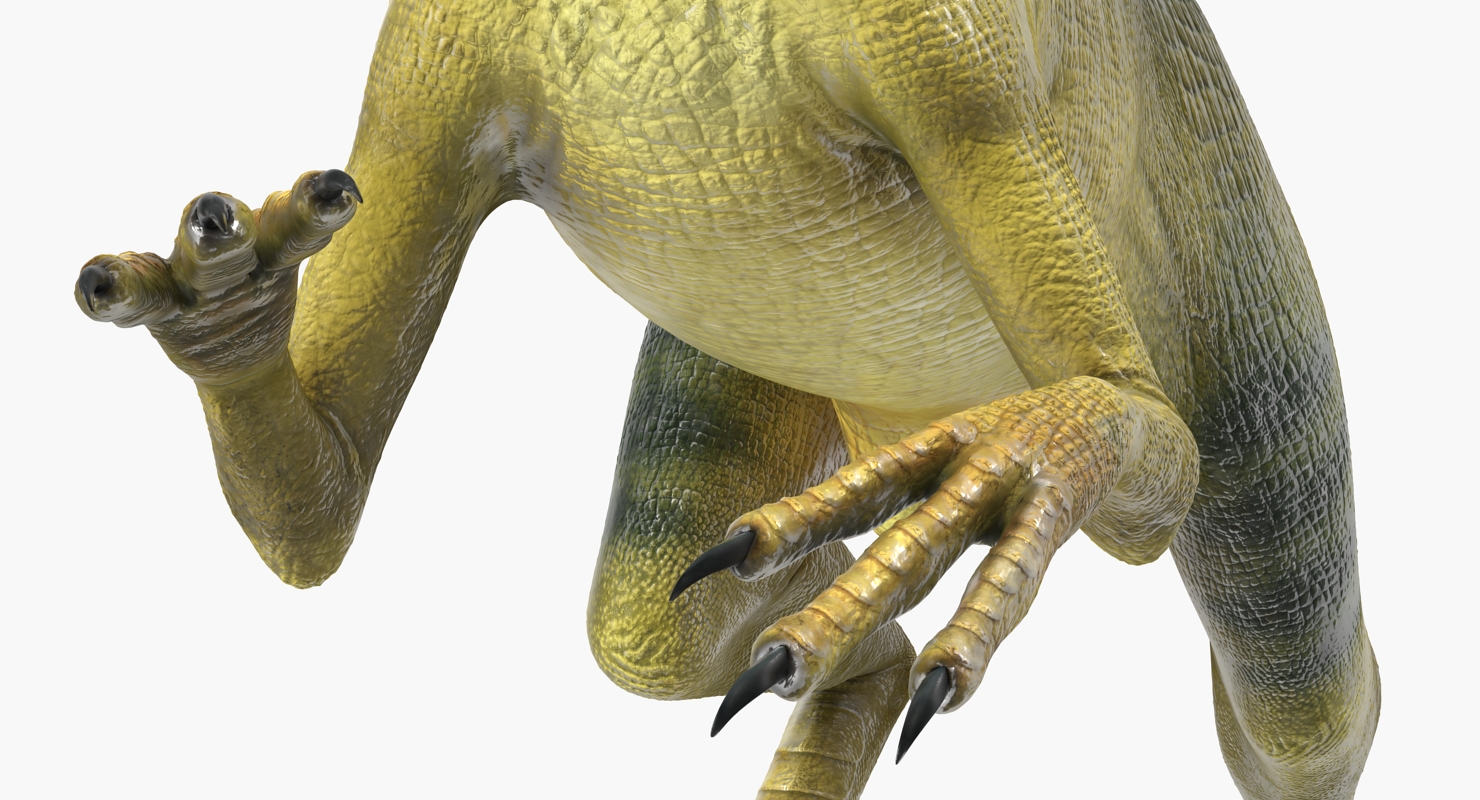 Compsognathus Dinosaur Rigged 3D model