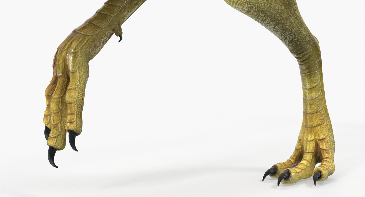 Compsognathus Dinosaur Rigged 3D model