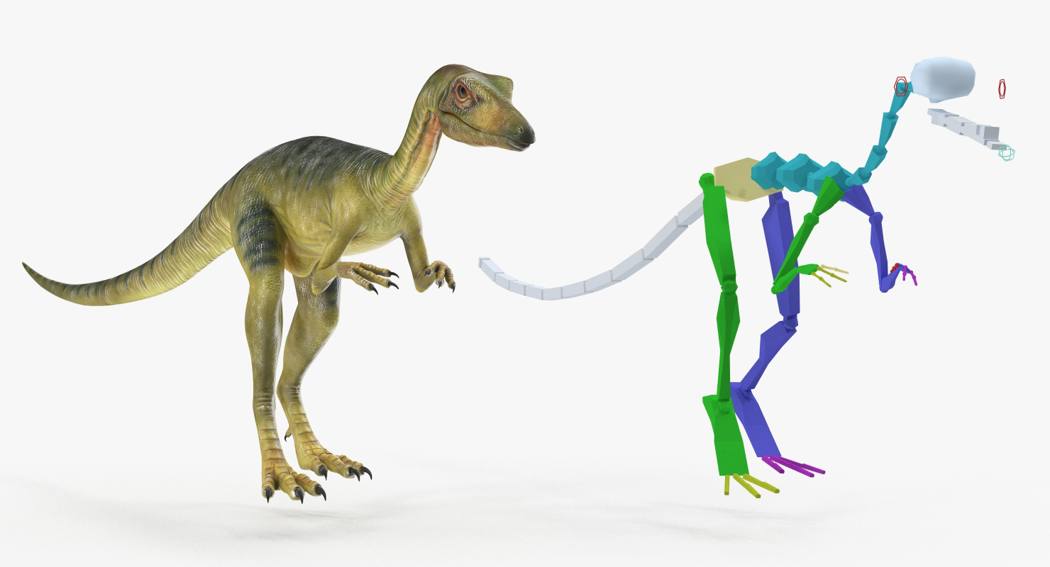 Compsognathus Dinosaur Rigged 3D model