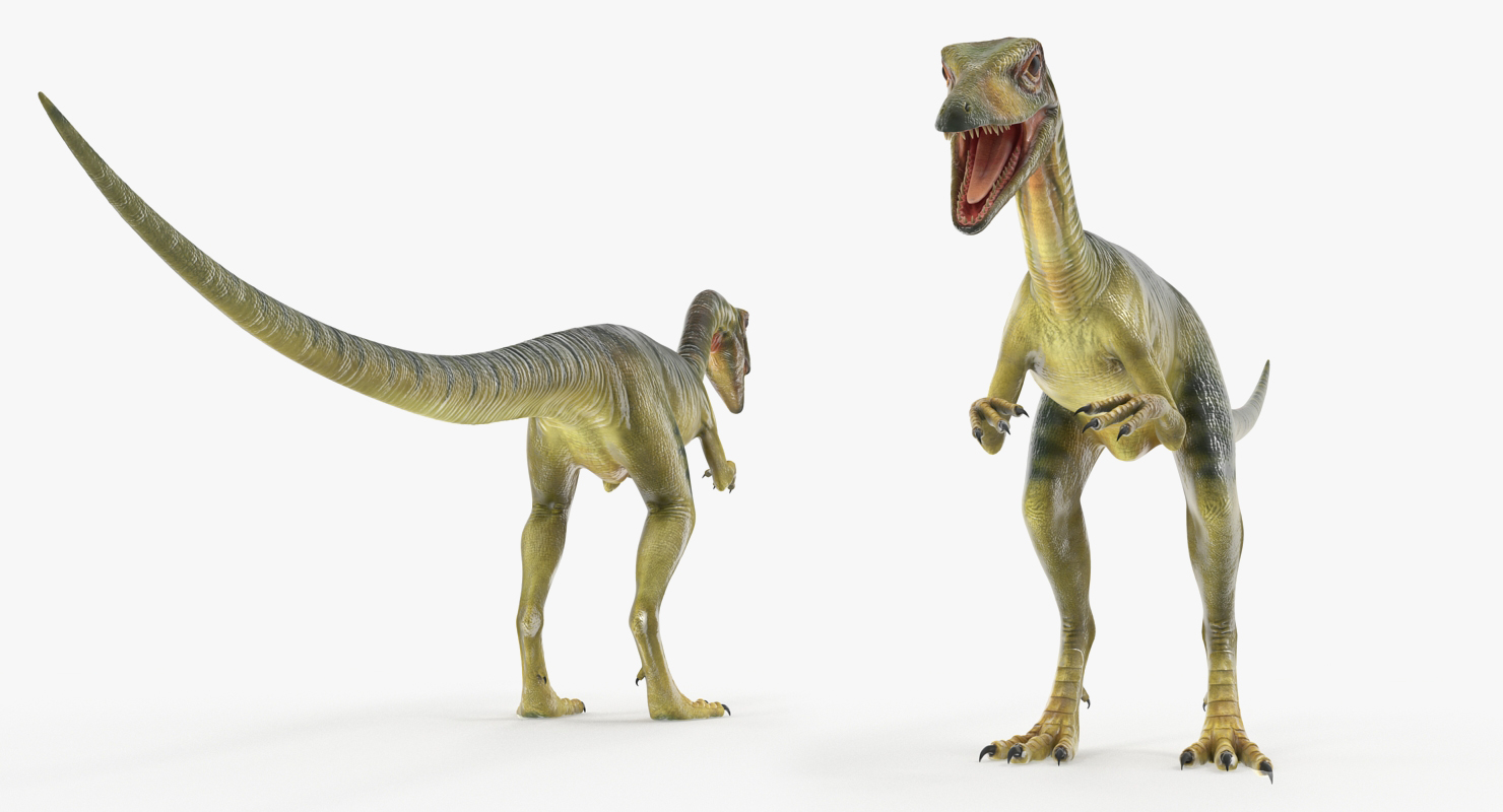 Compsognathus Dinosaur Rigged 3D model