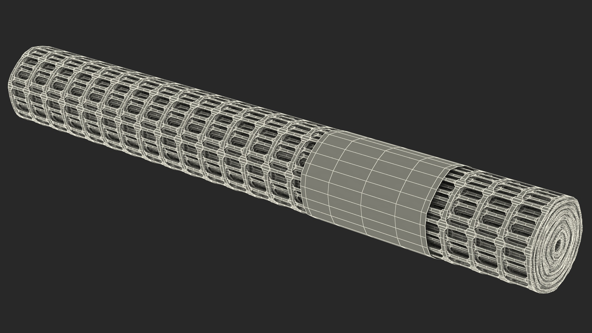 3D Barrier Tenax Mesh Roll model