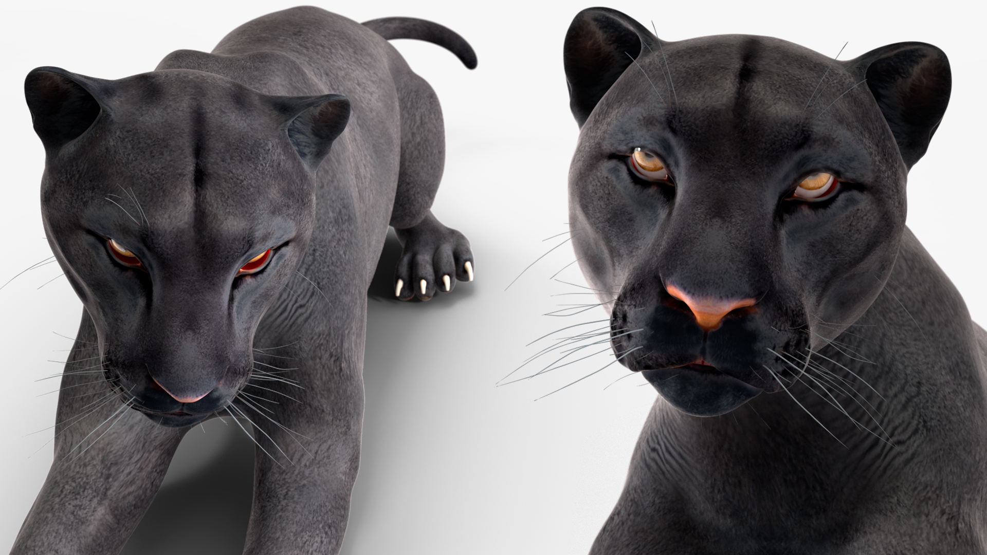 Black Panther Lying Down 3D model