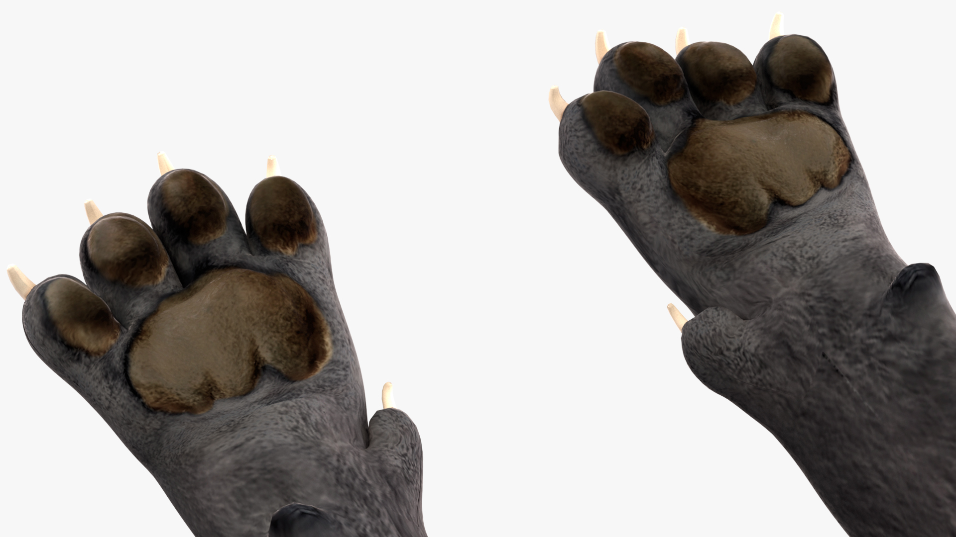 Black Panther Lying Down 3D model