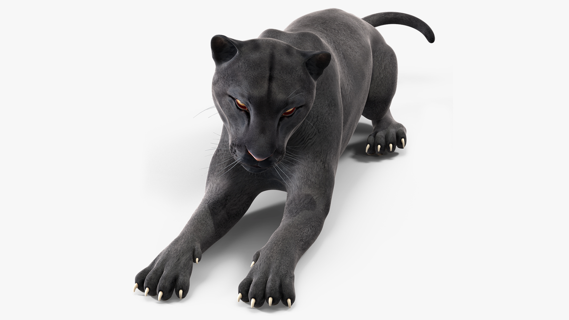 Black Panther Lying Down 3D model