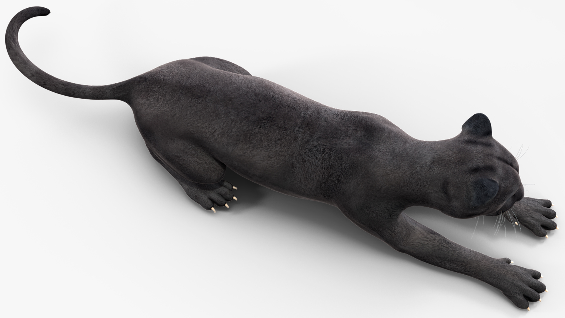 Black Panther Lying Down 3D model