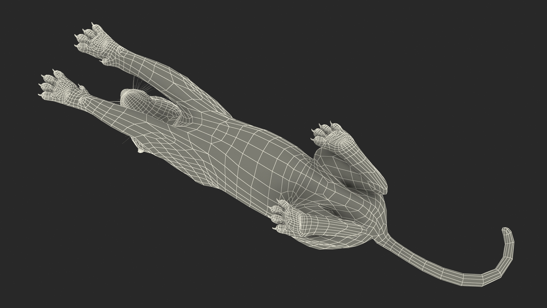 Black Panther Lying Down 3D model