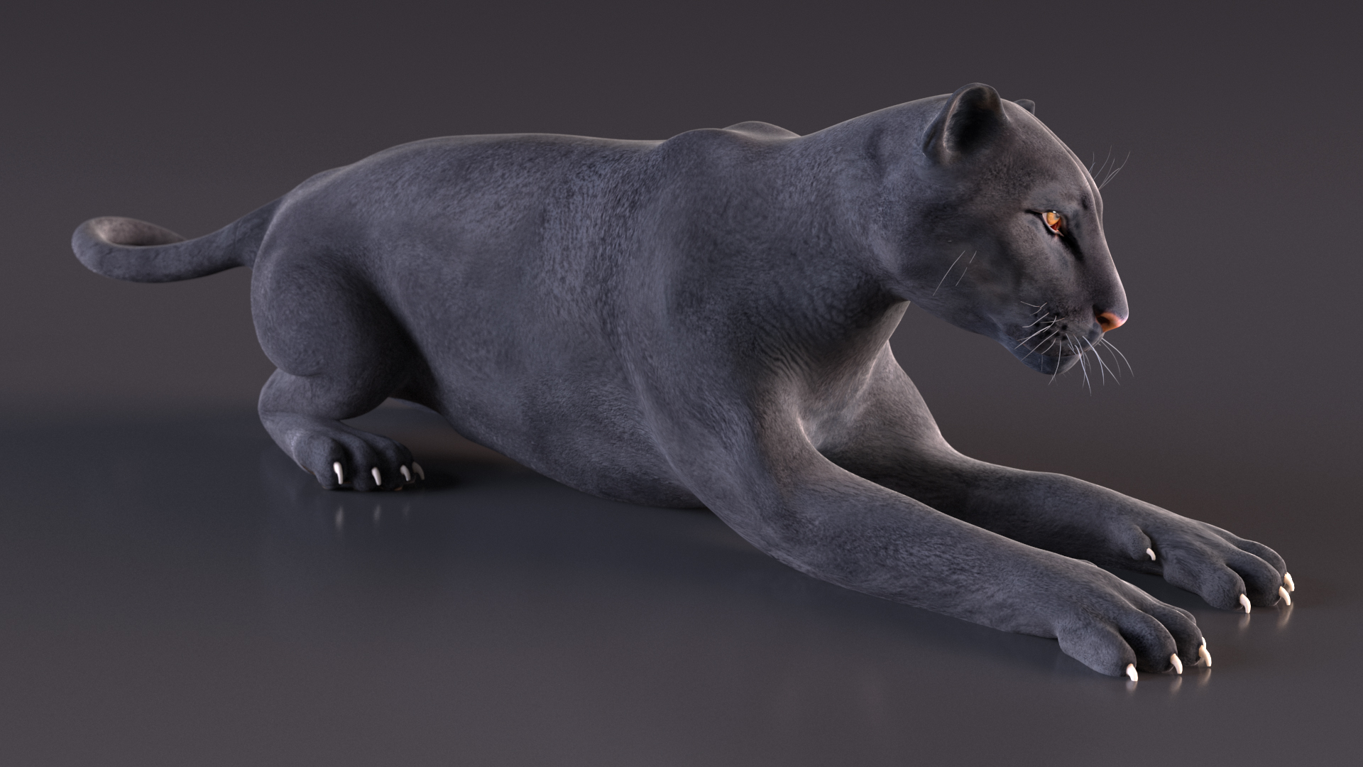Black Panther Lying Down 3D model
