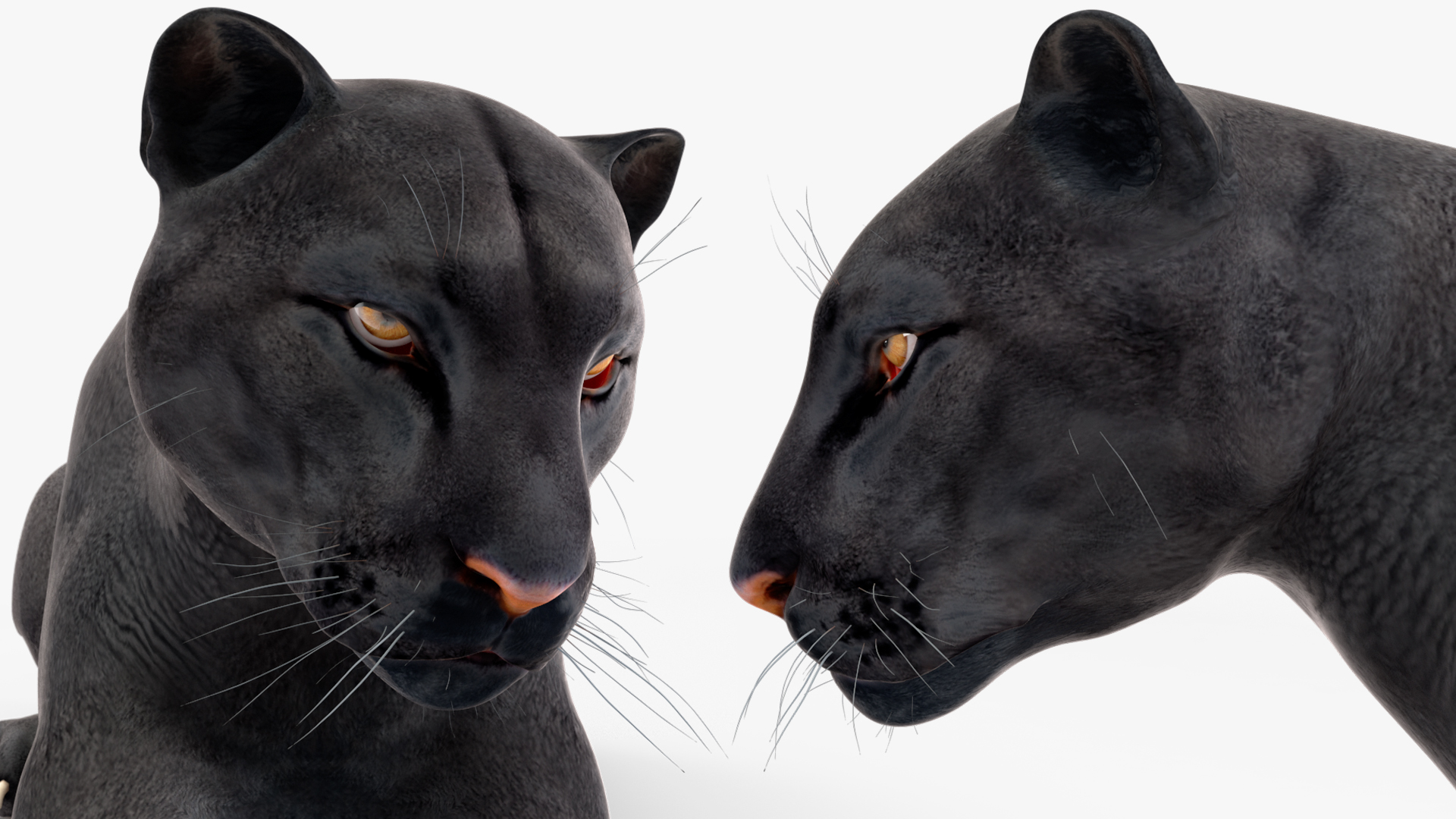Black Panther Lying Down 3D model