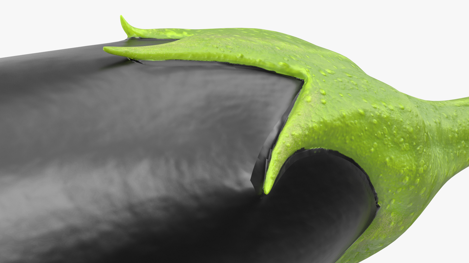 3D Black European Eggplant model
