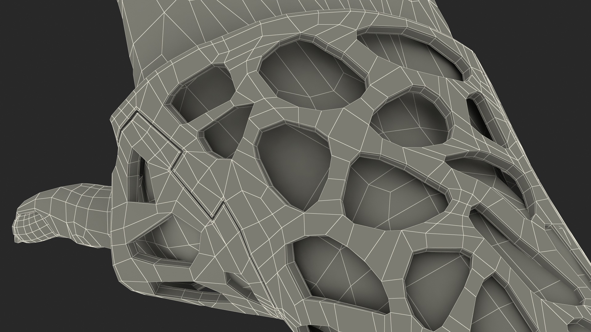 3D-Printed Orthopedic Cast On Hand 3D model