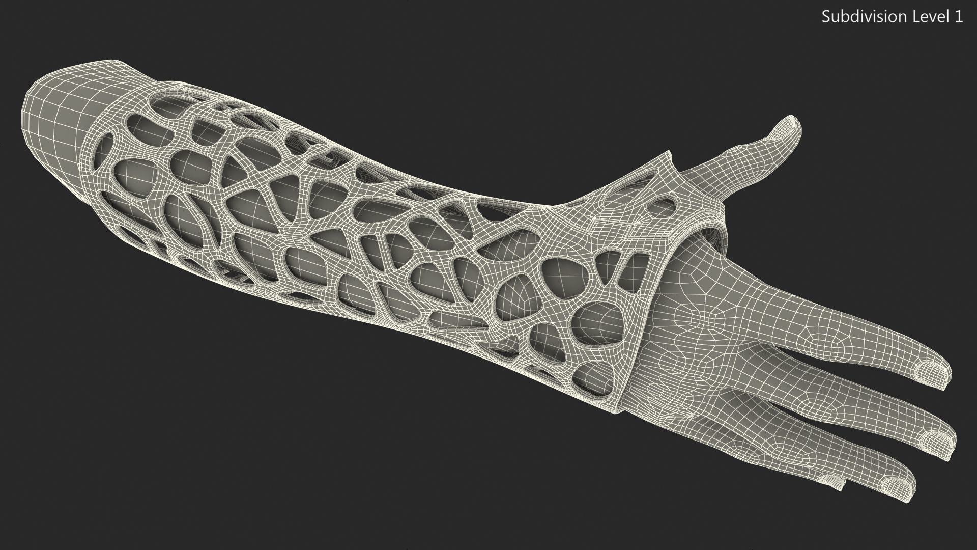 3D-Printed Orthopedic Cast On Hand 3D model