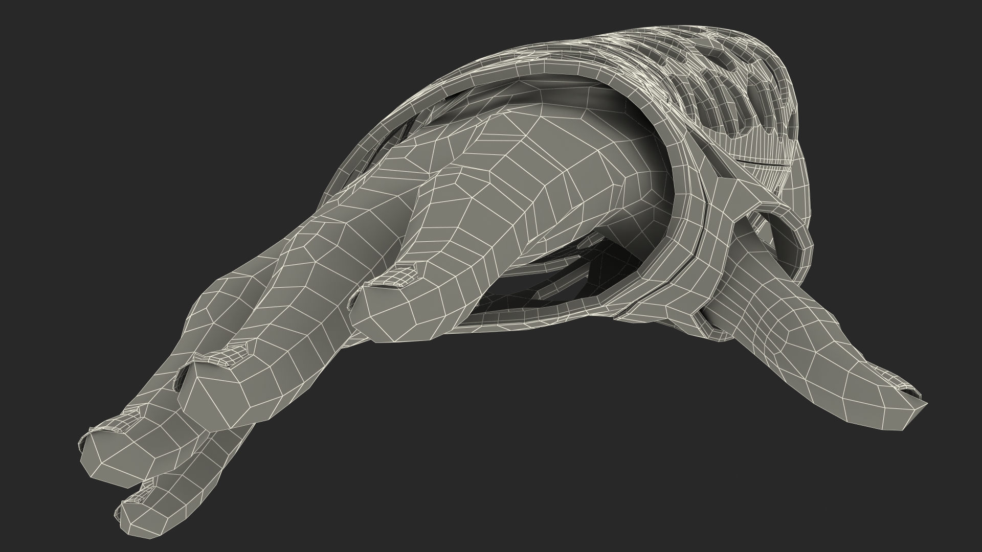 3D-Printed Orthopedic Cast On Hand 3D model