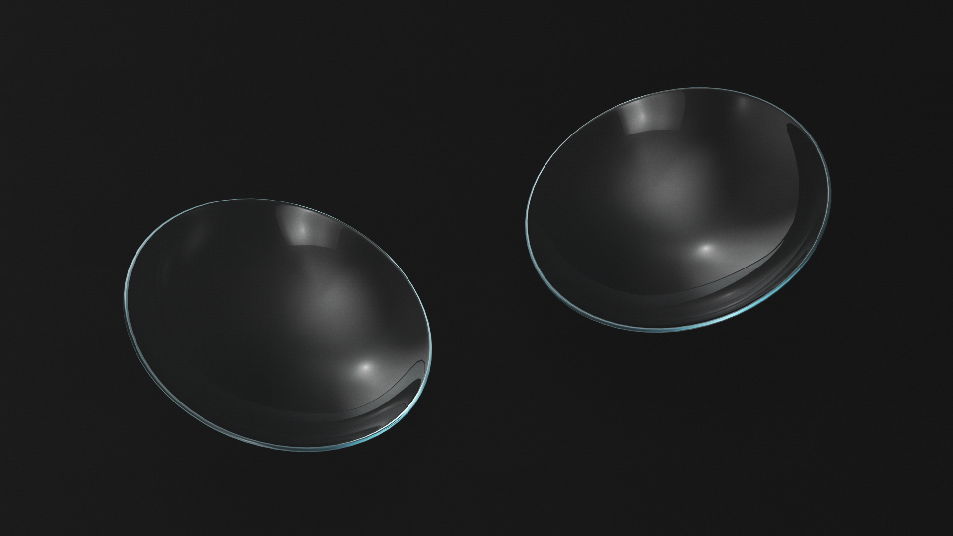 Contact Lenses 3D model