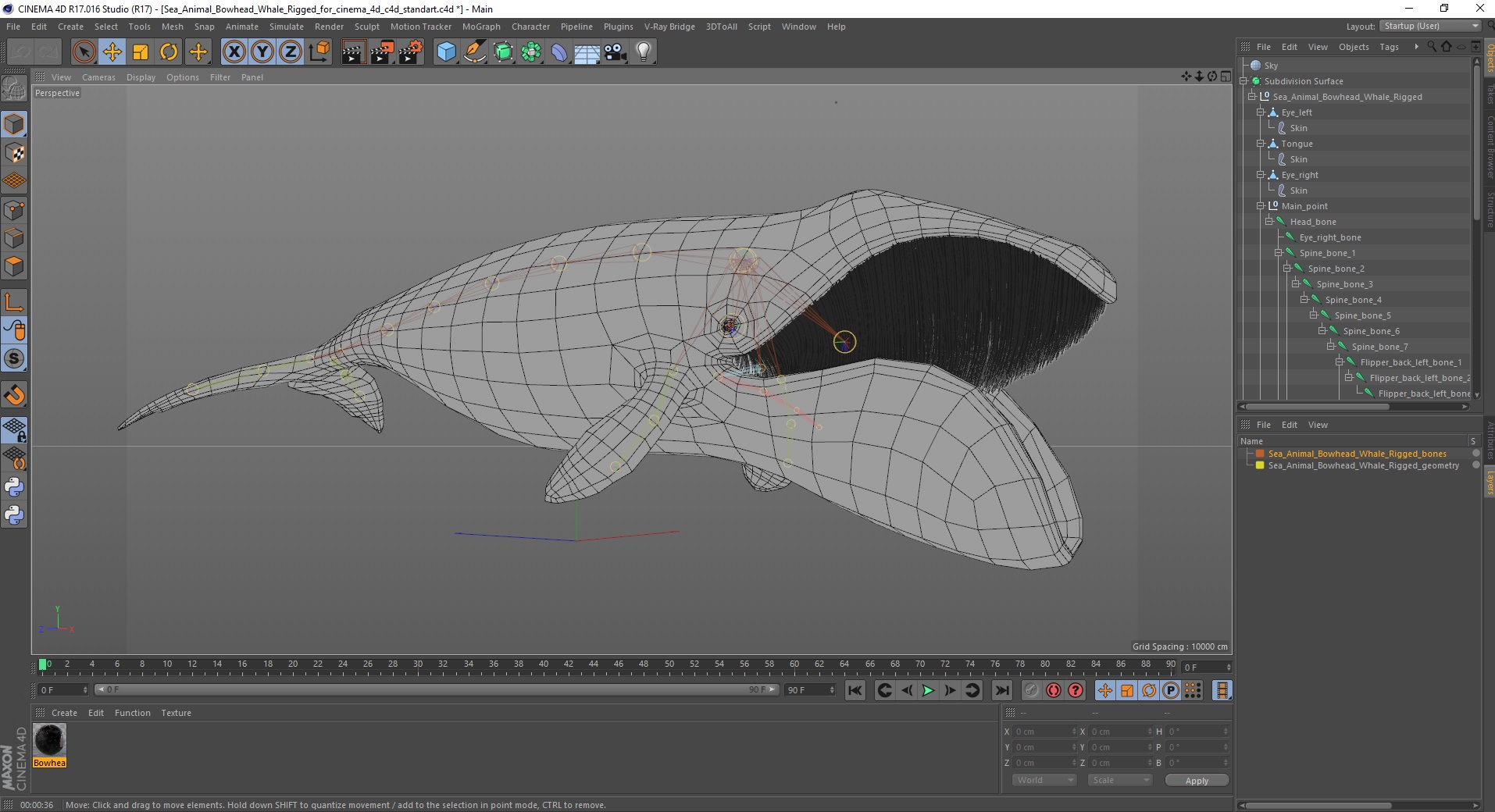 3D model Sea Animal Bowhead Whale Rigged for Cinema 4D