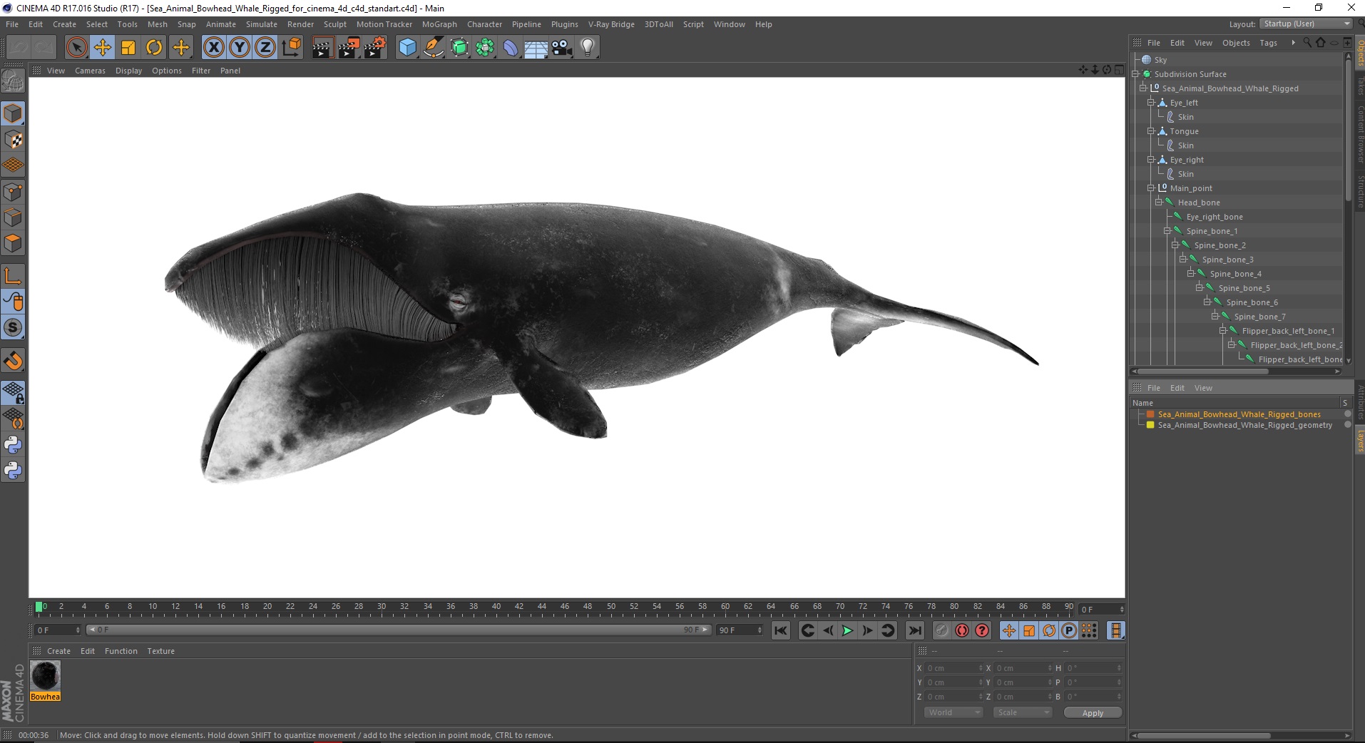3D model Sea Animal Bowhead Whale Rigged for Cinema 4D