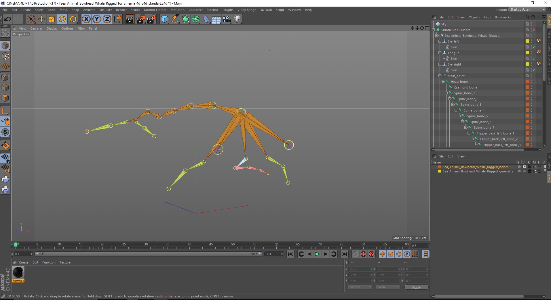 3D model Sea Animal Bowhead Whale Rigged for Cinema 4D