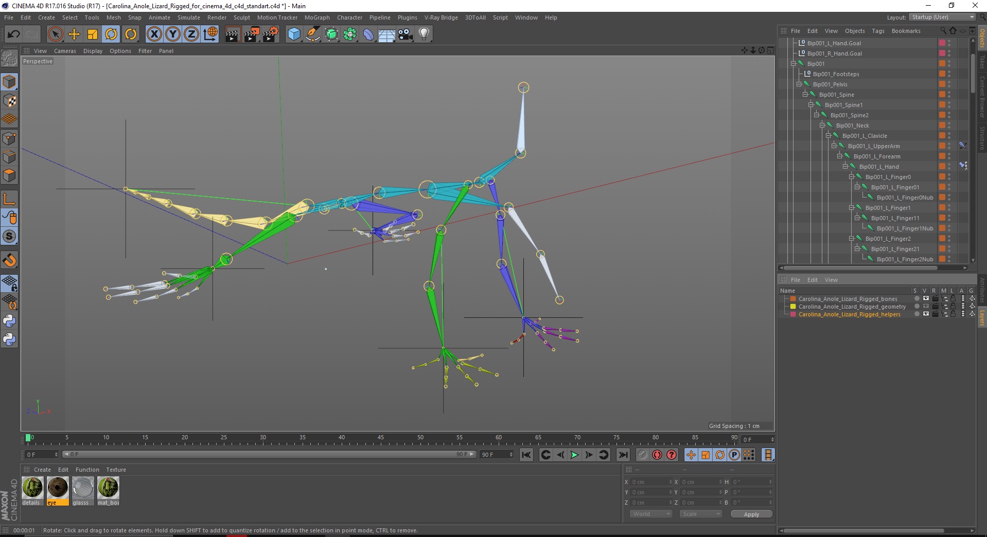 Carolina Anole Lizard Rigged for Cinema 4D 3D