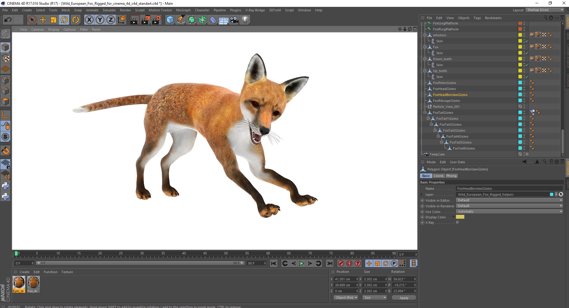3D Wild European Fox Rigged for Cinema 4D model