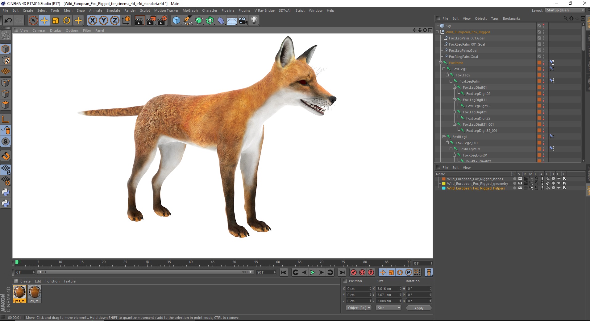 3D Wild European Fox Rigged for Cinema 4D model