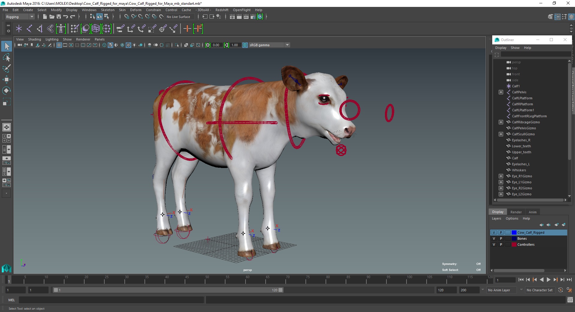 Cow Calf Rigged for Maya 3D model