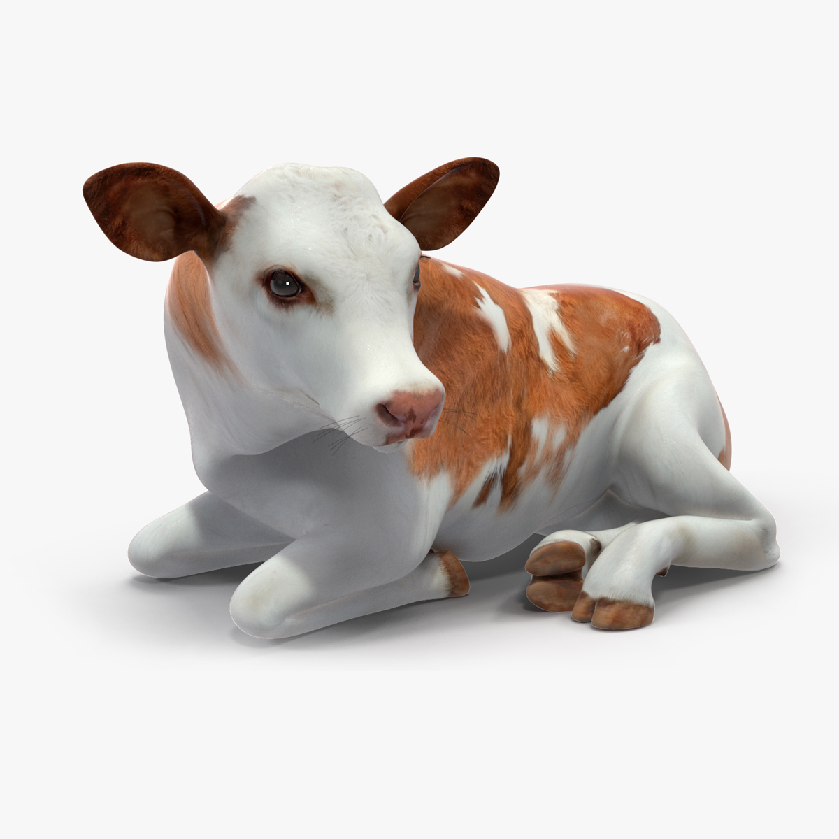 Cow Calf Rigged for Maya 3D model