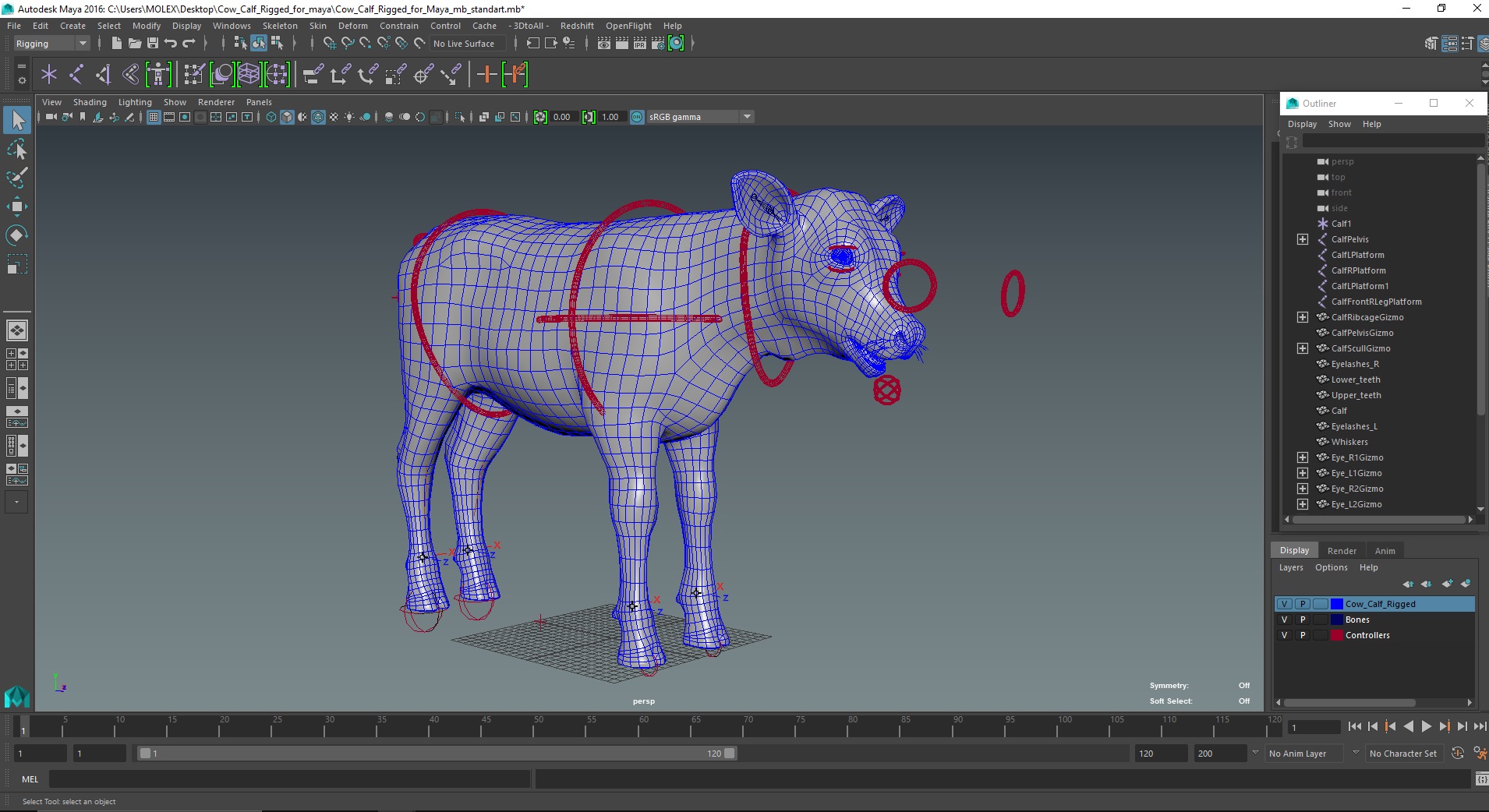 Cow Calf Rigged for Maya 3D model