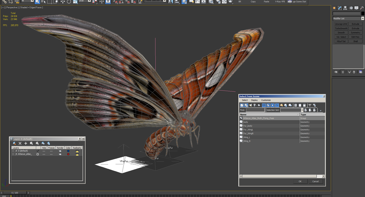 Attacus Atlas Moth Flying Pose with Fur 3D model