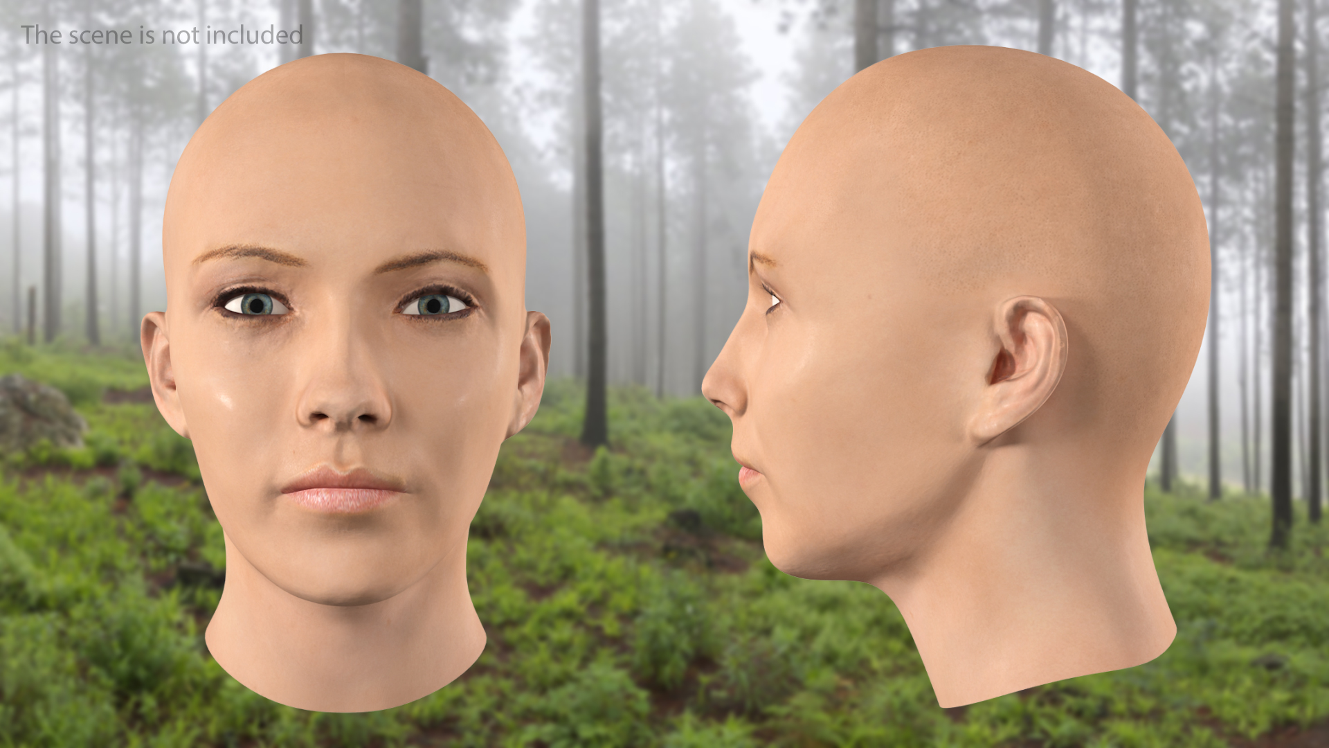 3D Female Bald Head